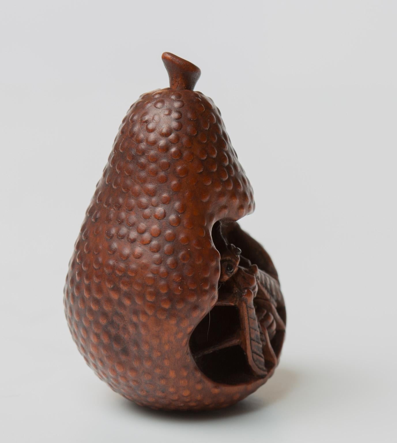 Japanese Wood Netsuke with a Wasp in a Pear, Nagoya School, 19th Century 4