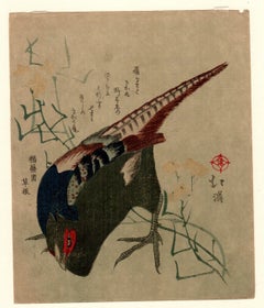 Japanese Woodblock Print,  chuban Size "Bird" Totoya Hokkei 魚屋北溪 '1780-1850'