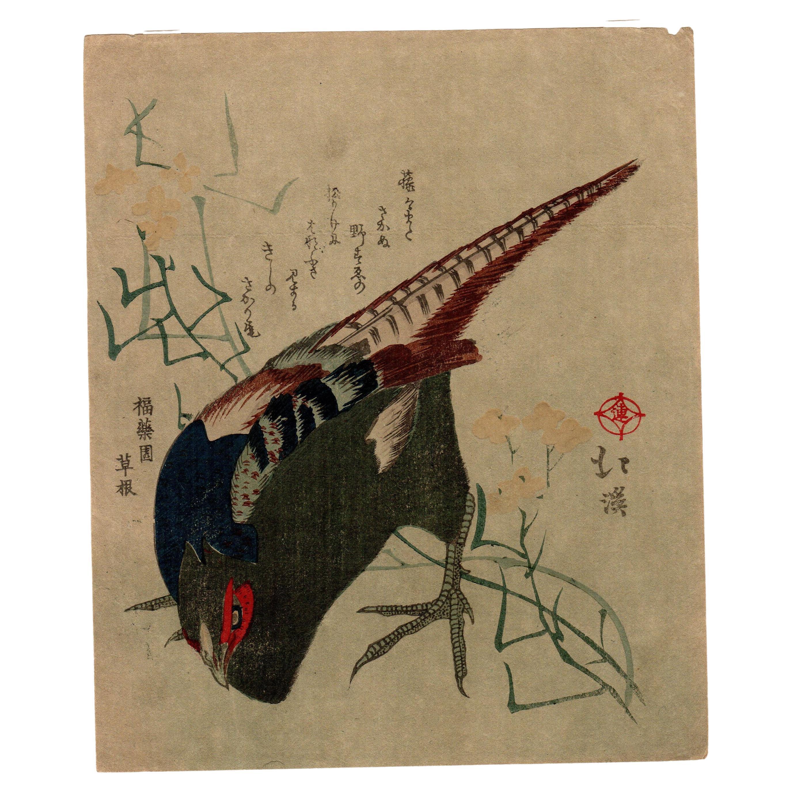 Japanischer Farbholzschnitt,  chuban Größe "Vogel" Totoya Hokkei 魚屋北溪 '1780-1850'