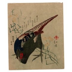 Japanese Woodblock Print,  chuban Size "Bird" Totoya Hokkei 魚屋北溪 '1780-1850'