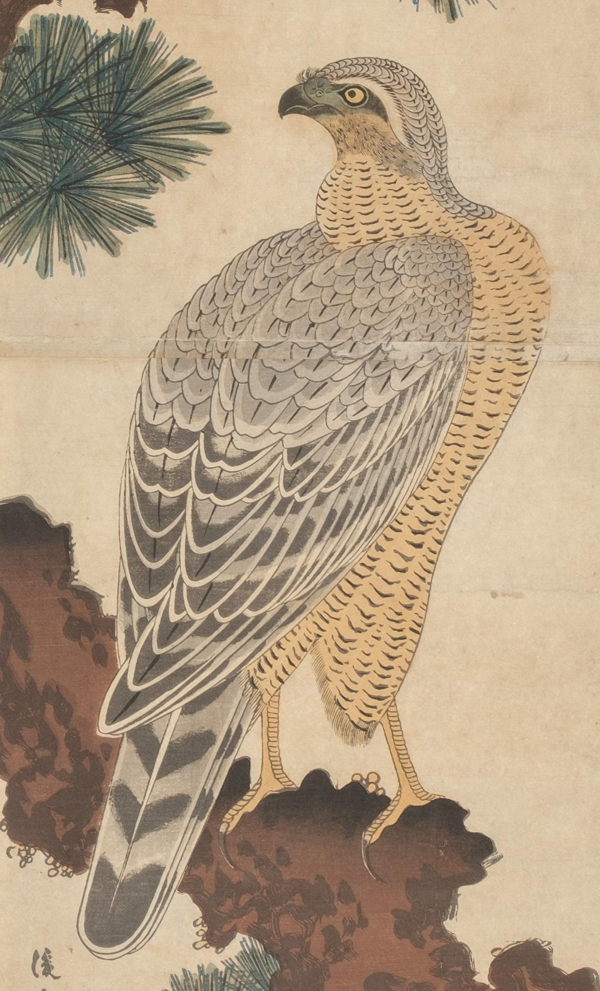 Utagawa Toyoshige (Toyokuni II) (1777-1835), diptych woodblock print of a majestic falcon (taka) sitting on a pine tree branch ? (matsu) under a rising sun.
This popular genre is known as ‘kachô-ga’ (pictures of birds and flowers).

Date: Around