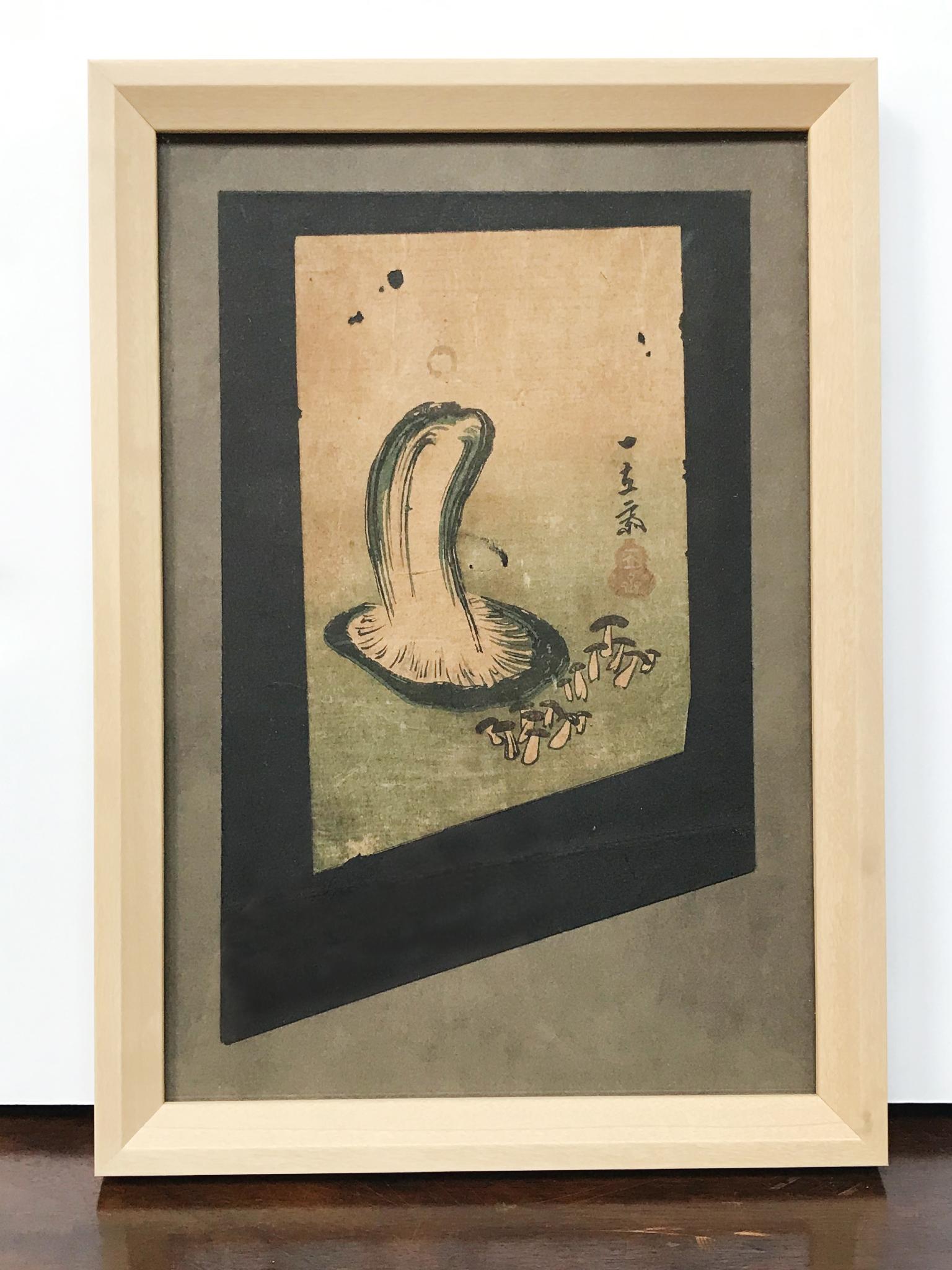 Framed Japanese woodblock print depicting a study of a mushroom. Early 20th century. Ukiyo-e art depicts a vast array of subjects, including flora and fauna illustrations such as this beautiful study of an edible mushroom. The print is a fragment of