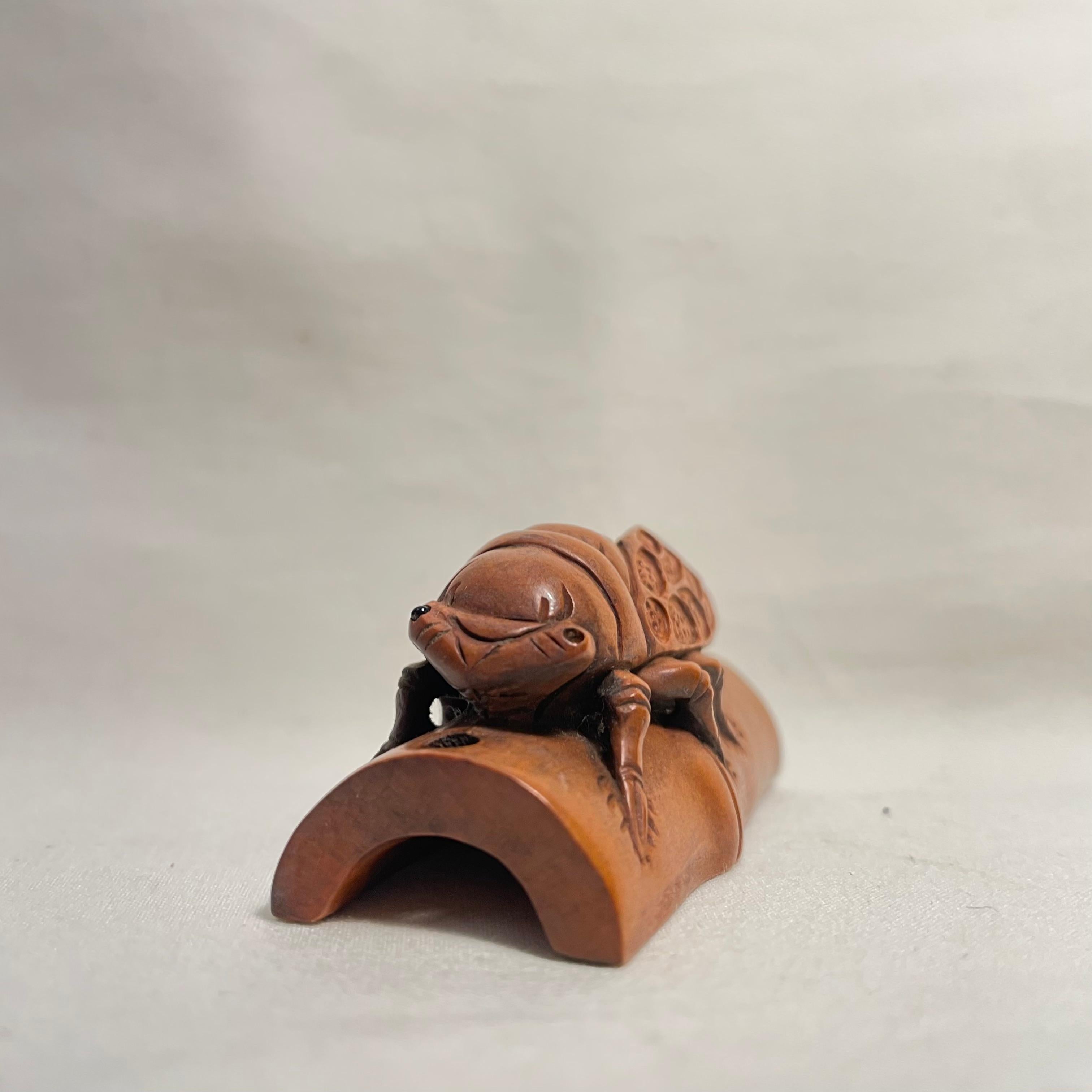 Japanese Wooden Netsuke Cicada 1900 Meiji Sekisen, Japanisches Holz (Meiji-Periode) im Angebot