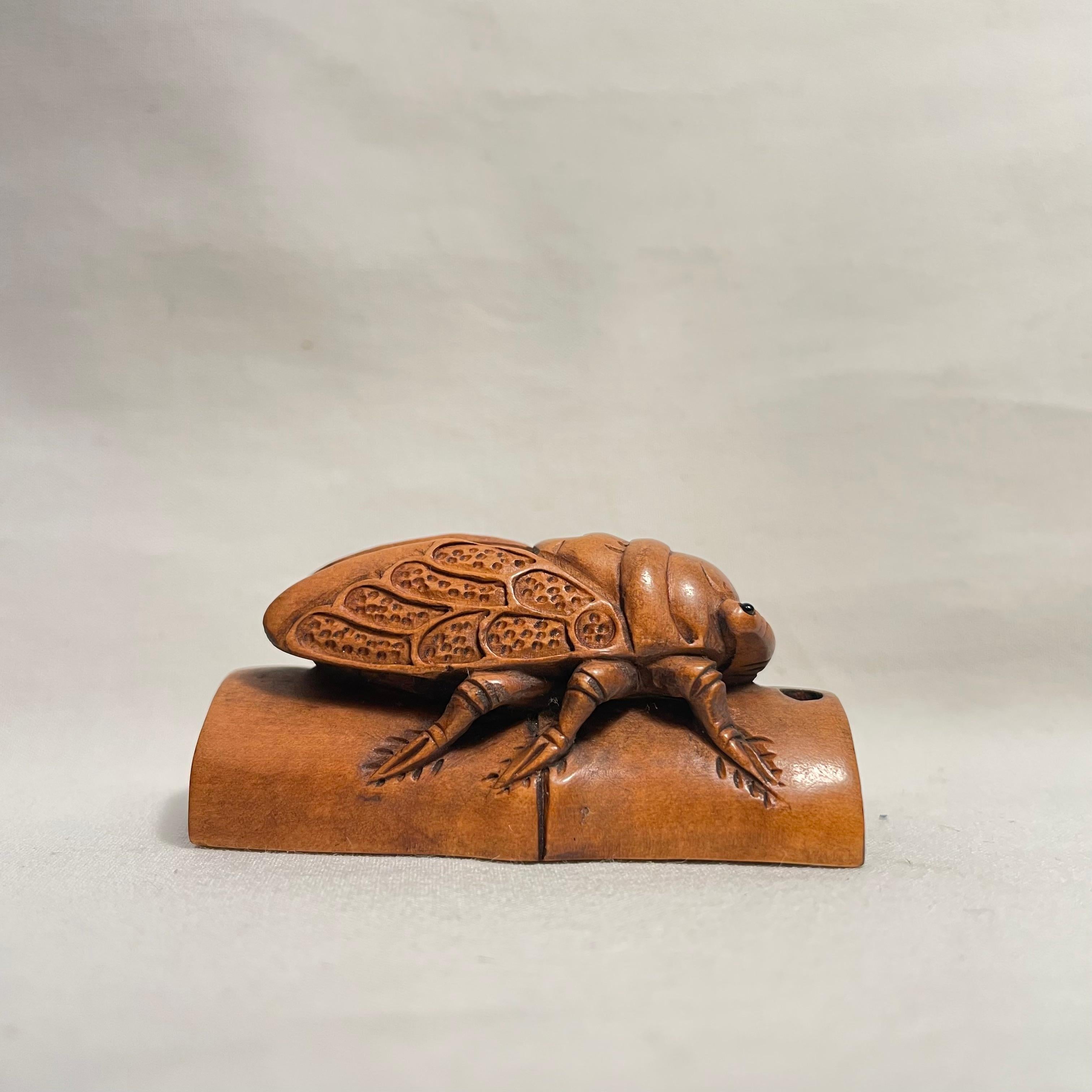 Japanese Wooden Netsuke Cicada 1900 Meiji Sekisen, Japanisches Holz (Handgeschnitzt) im Angebot