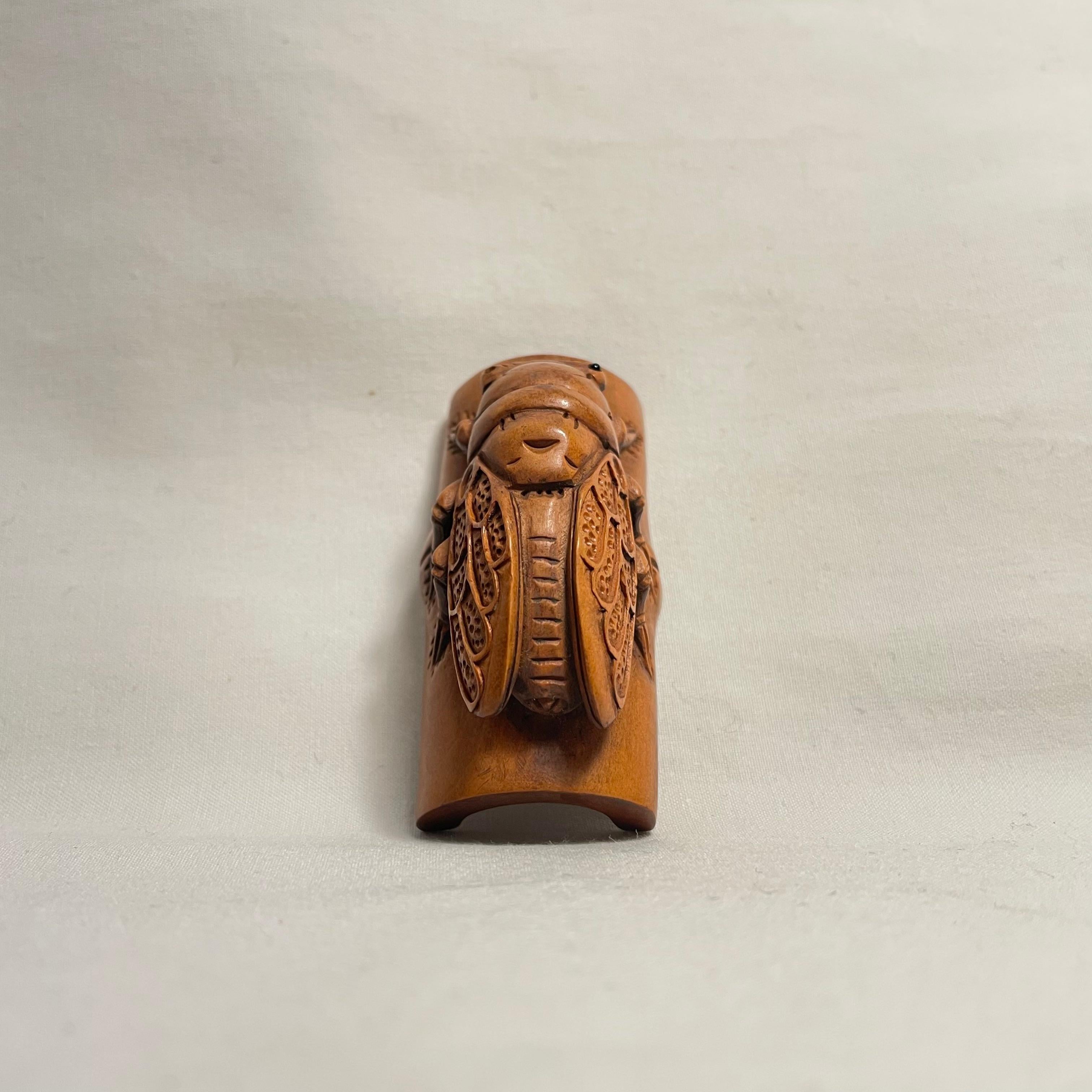 Japanese Wooden Netsuke Cicada 1900 Meiji Sekisen, Japanisches Holz im Angebot 2