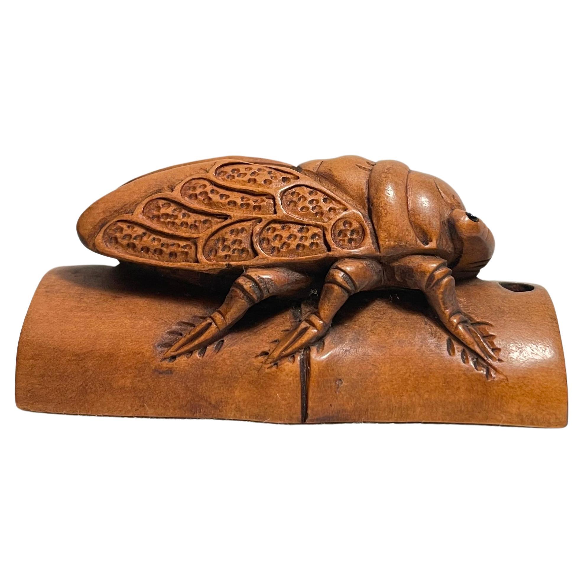 Japanese Wooden Netsuke Cicada 1900 Meiji Sekisen, Japanisches Holz im Angebot
