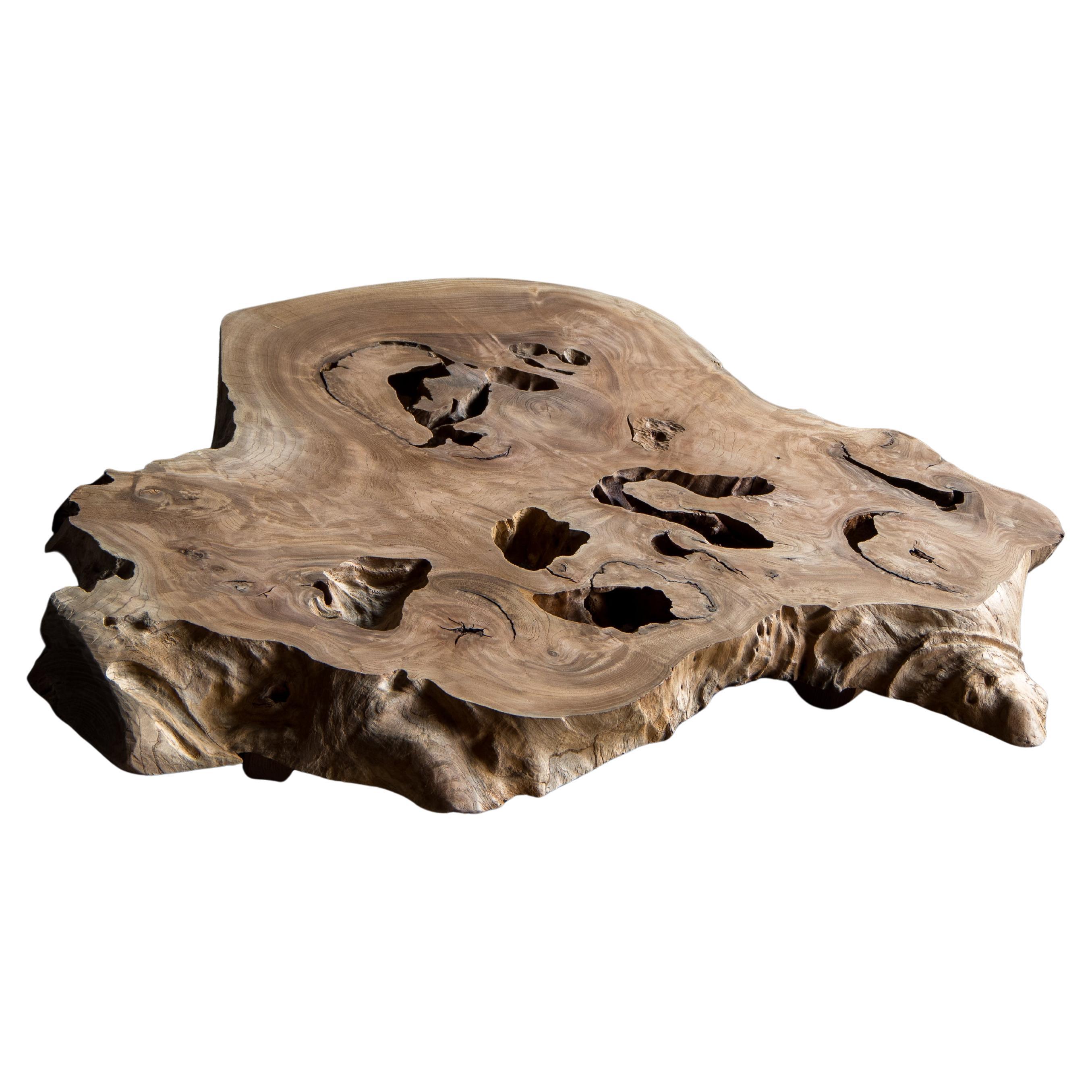 Japanese Zelkova Burl Flower Stand, Sculptural Display Piece For Sale