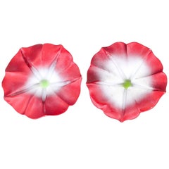 JAR Boucles d'oreilles en aluminium et fleur d'or Morning Glory