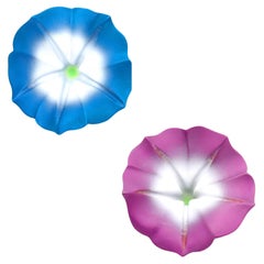 JAR Paris Ohrringe „Rosenthal Morning Glory“ aus Titan und 18k Gelbgold