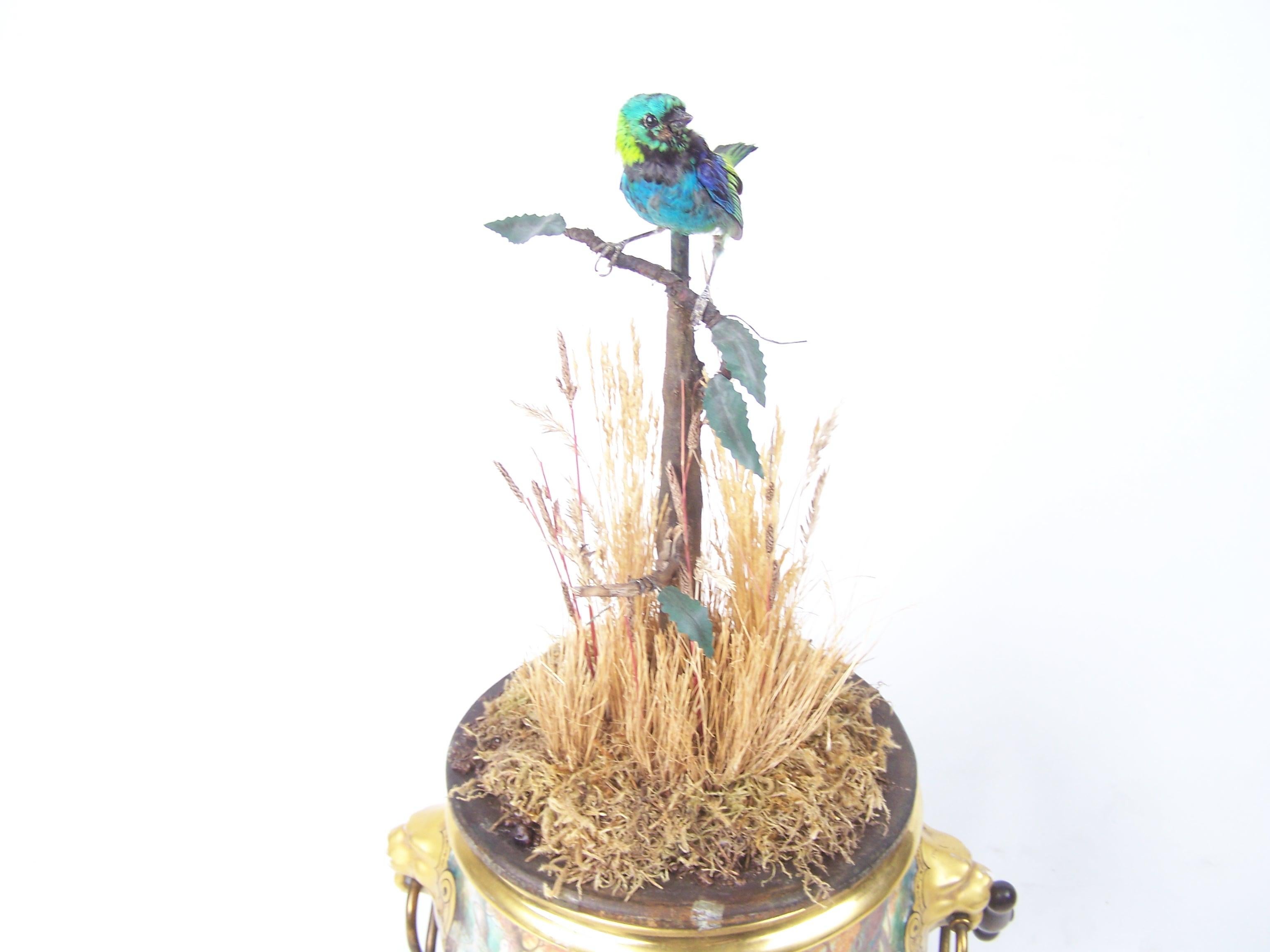 Jardinière Automaton Singvogel von Bontems (Metall) im Angebot