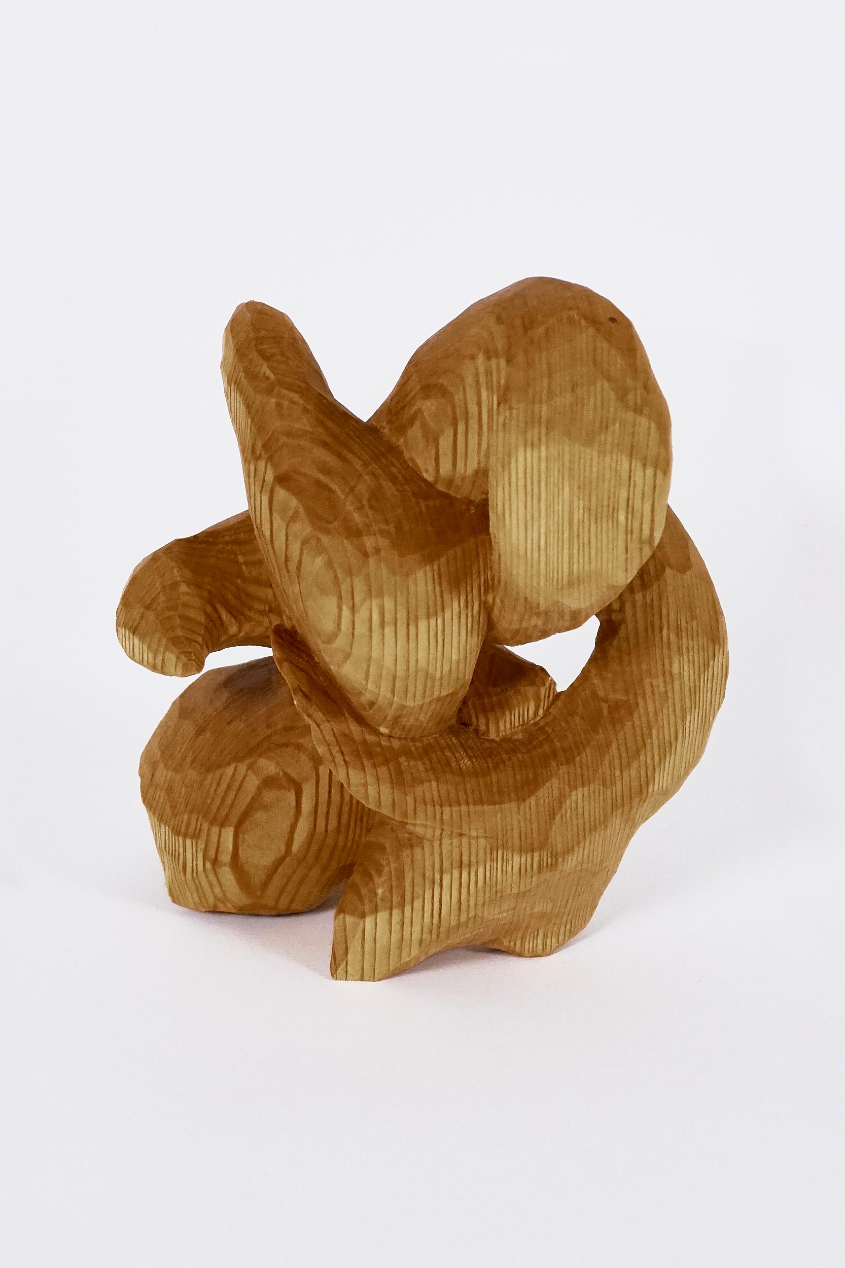 Carved Investigation Eleven, Carved wood sculpture - Sculpture by Jared Abner