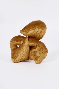 Carved Investigation Ten, Carved wood sculpture