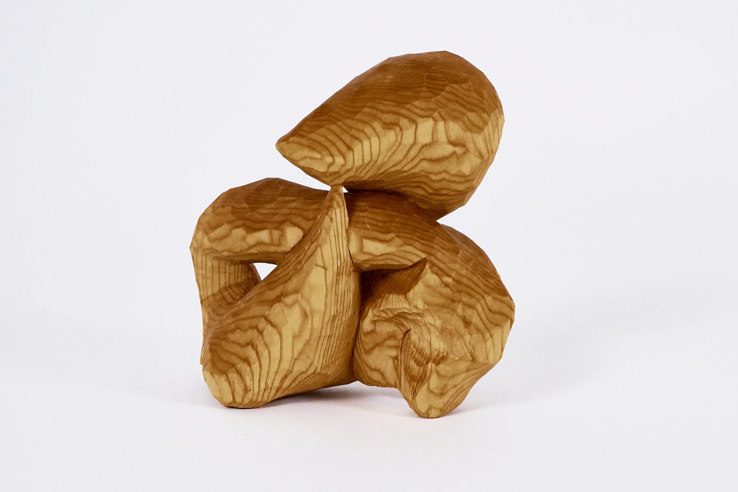 Carved Investigation Ten, Carved wood sculpture - Contemporary Sculpture by Jared Abner