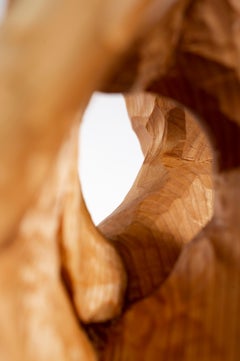 Carved Investigation Three, Carved wood sculpture