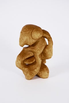 Carved Investigation Twelve, Carved wood sculpture