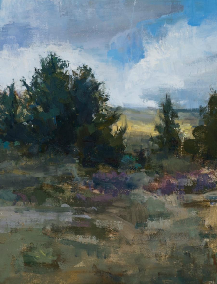 Landscape, Mountains , S.W. Art 21 under 31  artist, Representational - Painting by Jared Brady