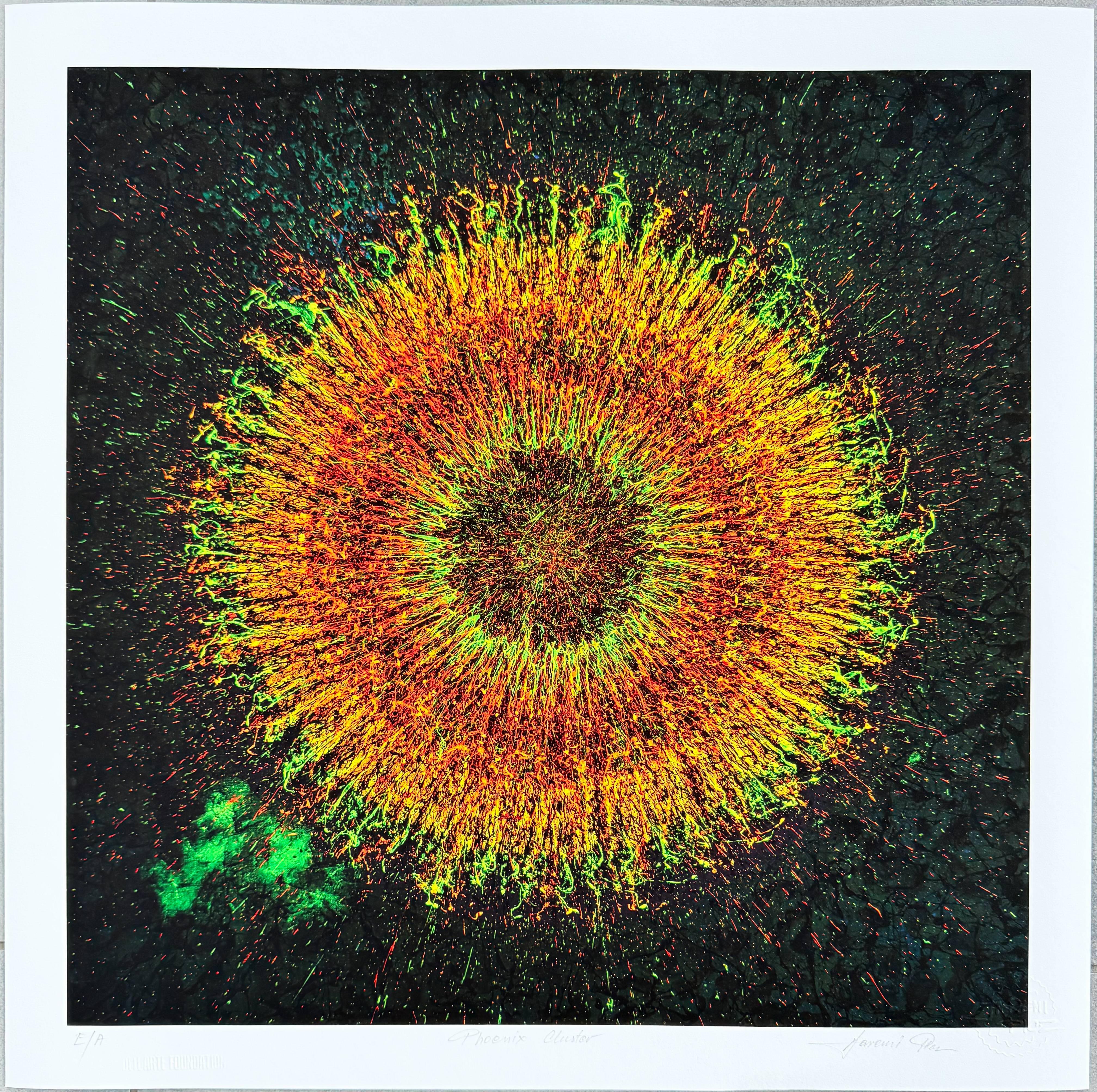 Phoenix Cluster - Op Art Mixed Media Art by Jaremi Picz
