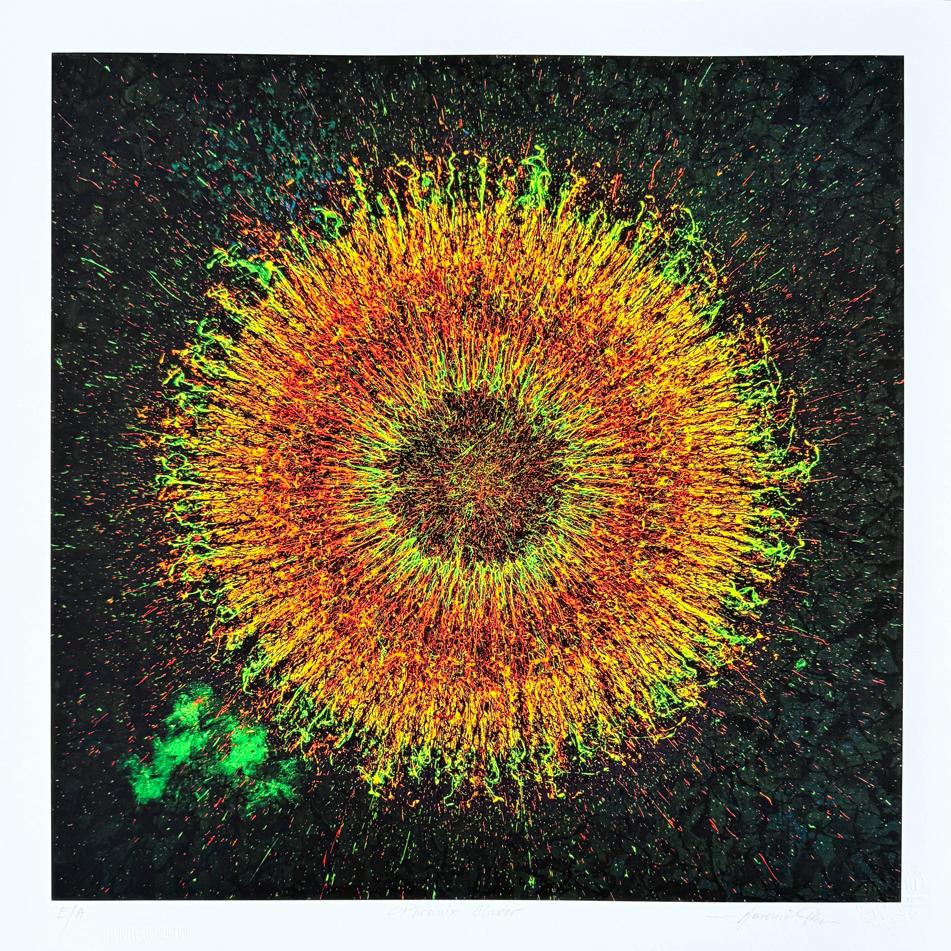 Cluster Phoenix