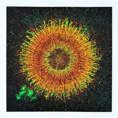 Cluster Phoenix