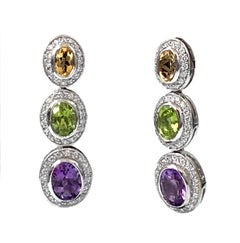 Jarin Multicolor Oval Gemstones Drop Earrings