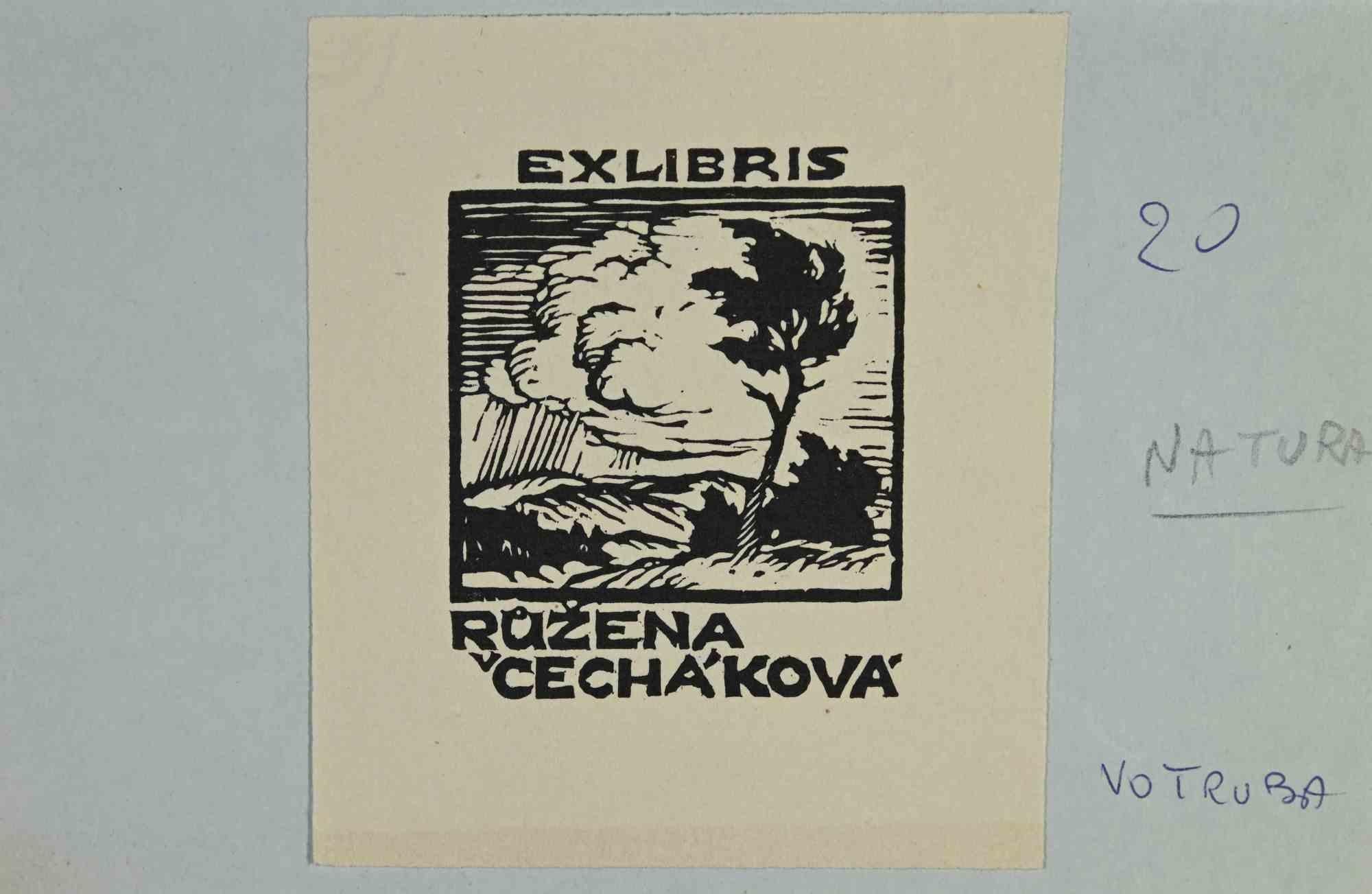 Ex-Libris - Ruzena Cecháková ist ein in den 1930er Jahren entstandenes Kunstwerk des Künstlers Jaroslav Votruba (1889-1971).

Holzschnitt auf Papier. 

Das Werk ist auf farbigen Karton geklebt. Abmessungen insgesamt: 13 x 20 cm.

Gute