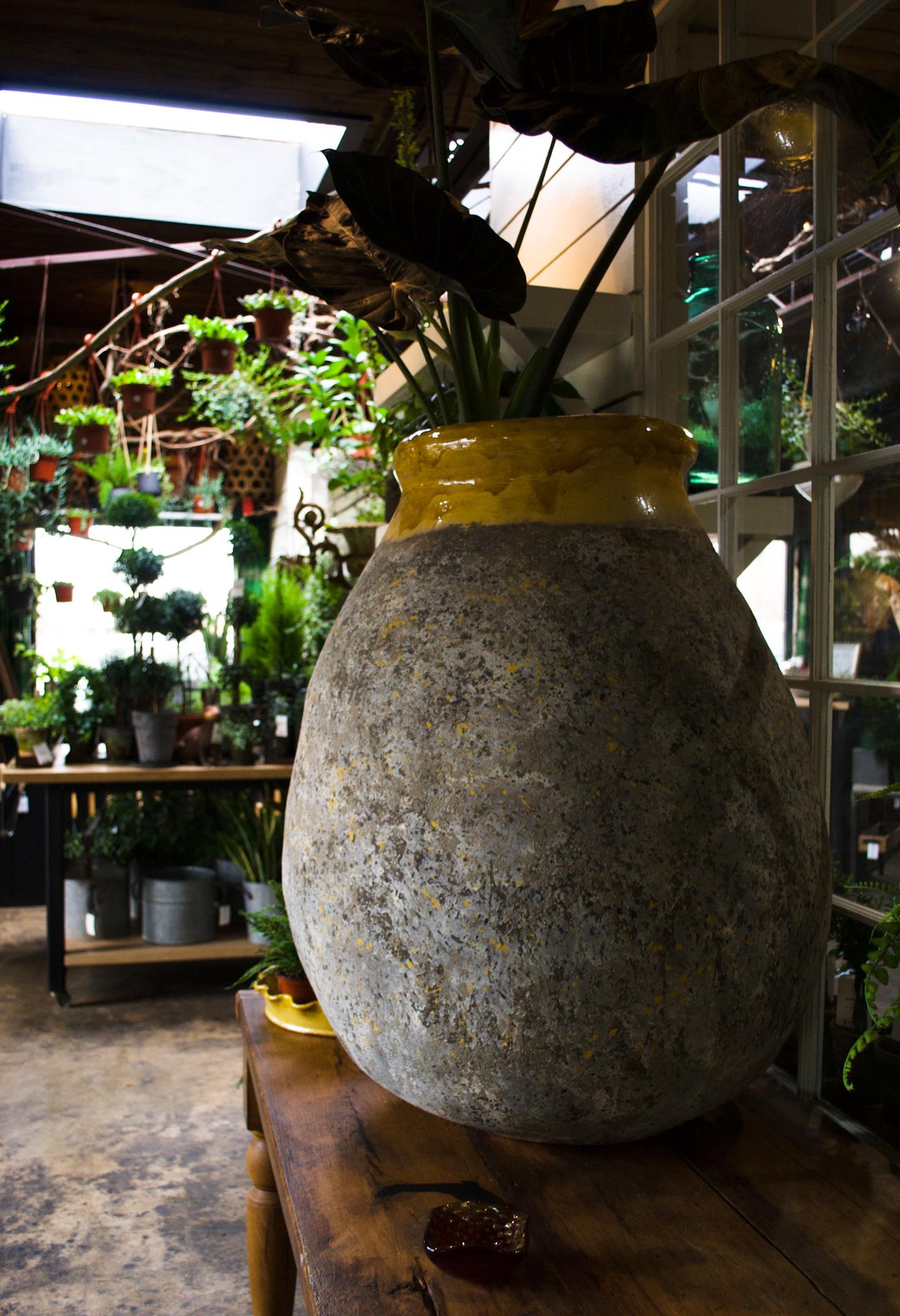 France has always been the pioneer of the European garden. These once functional olive jars eventually found their way to cascading gardens once retired, thus creating the iconic French garden aesthetic. Now, France continues to fuel this fantasy by