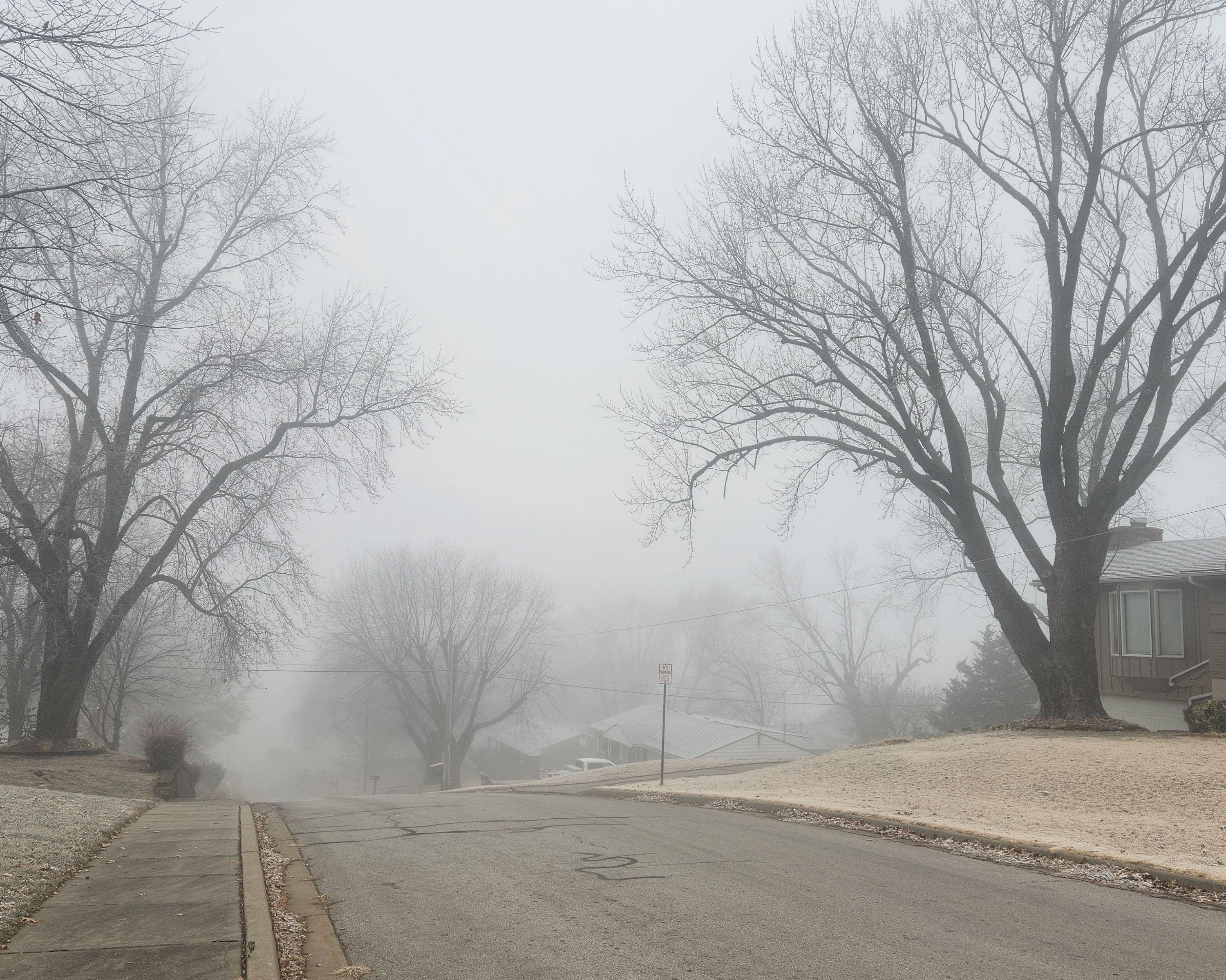 Jarrett Redd Landscape Photograph - Fog
