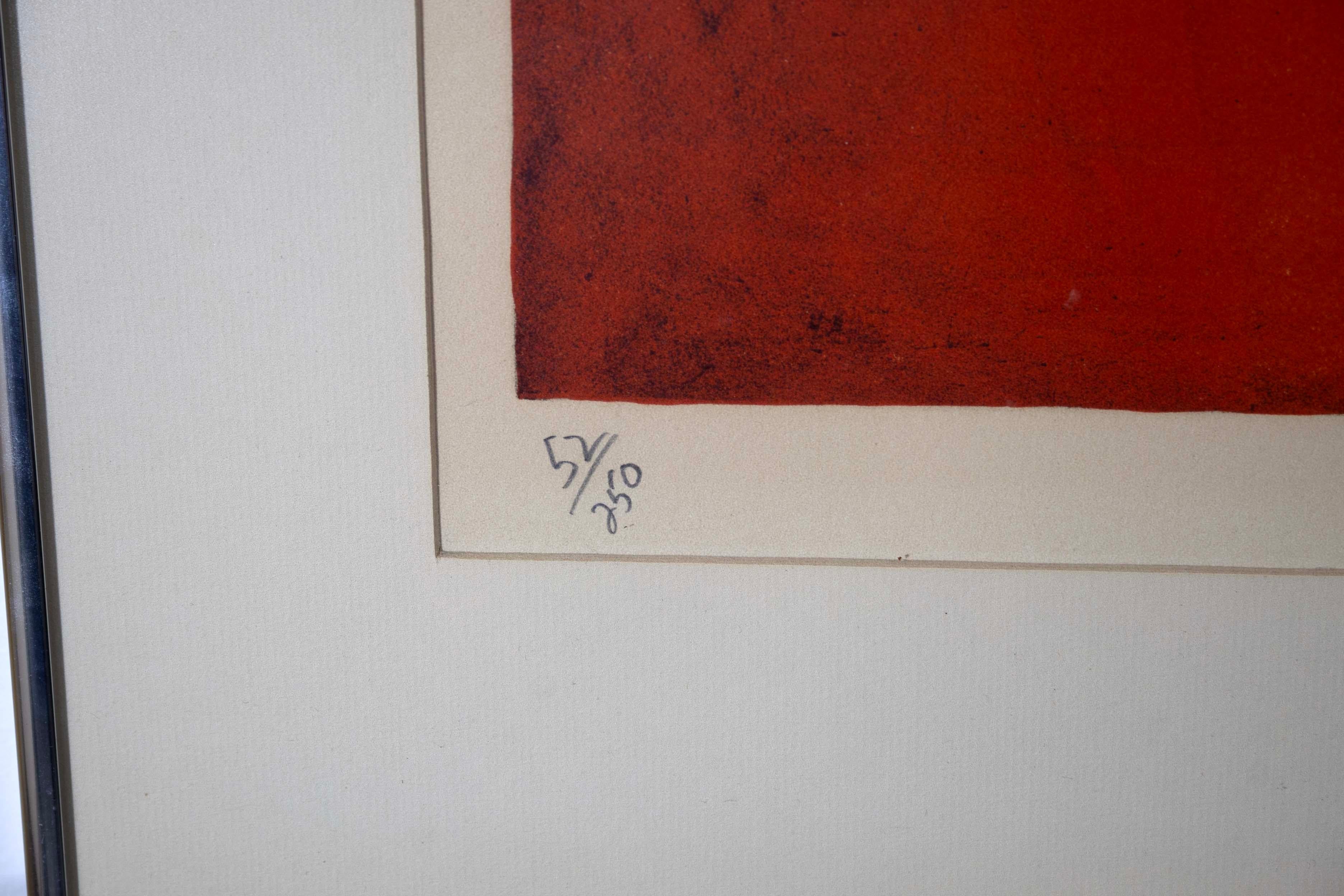 Jasha Green Signed Op Art Geometric Abstract Lithograph on Paper 3