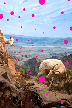 Placebo rosa