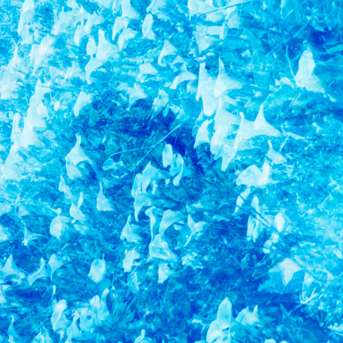 Campos del Sol, 26 (Fotografía abstracta)
Impresión con pigmentos de archivo Papel Hahnemühle de 310 g/m² - Sin enmarcar.

Esta obra de arte es exclusiva de IdeelArt.
Edición limitada de 10 + 1 AP
40