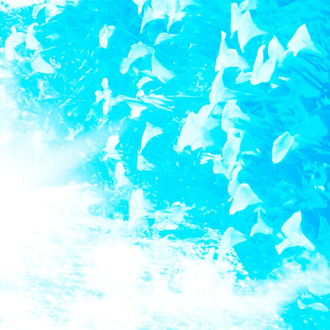 Campos del Sol, 29 (Fotografía abstracta) - Abstract Photograph Azul de Jason Engelund
