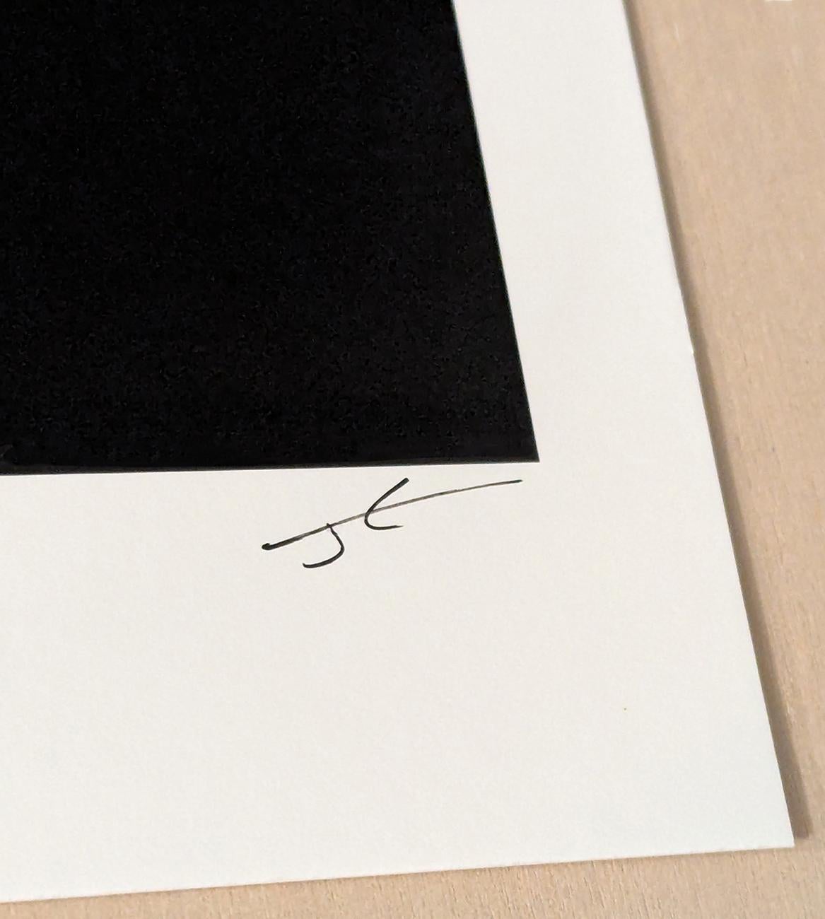 Photographier le soleil 17 (Photographie abstraite) en vente 2