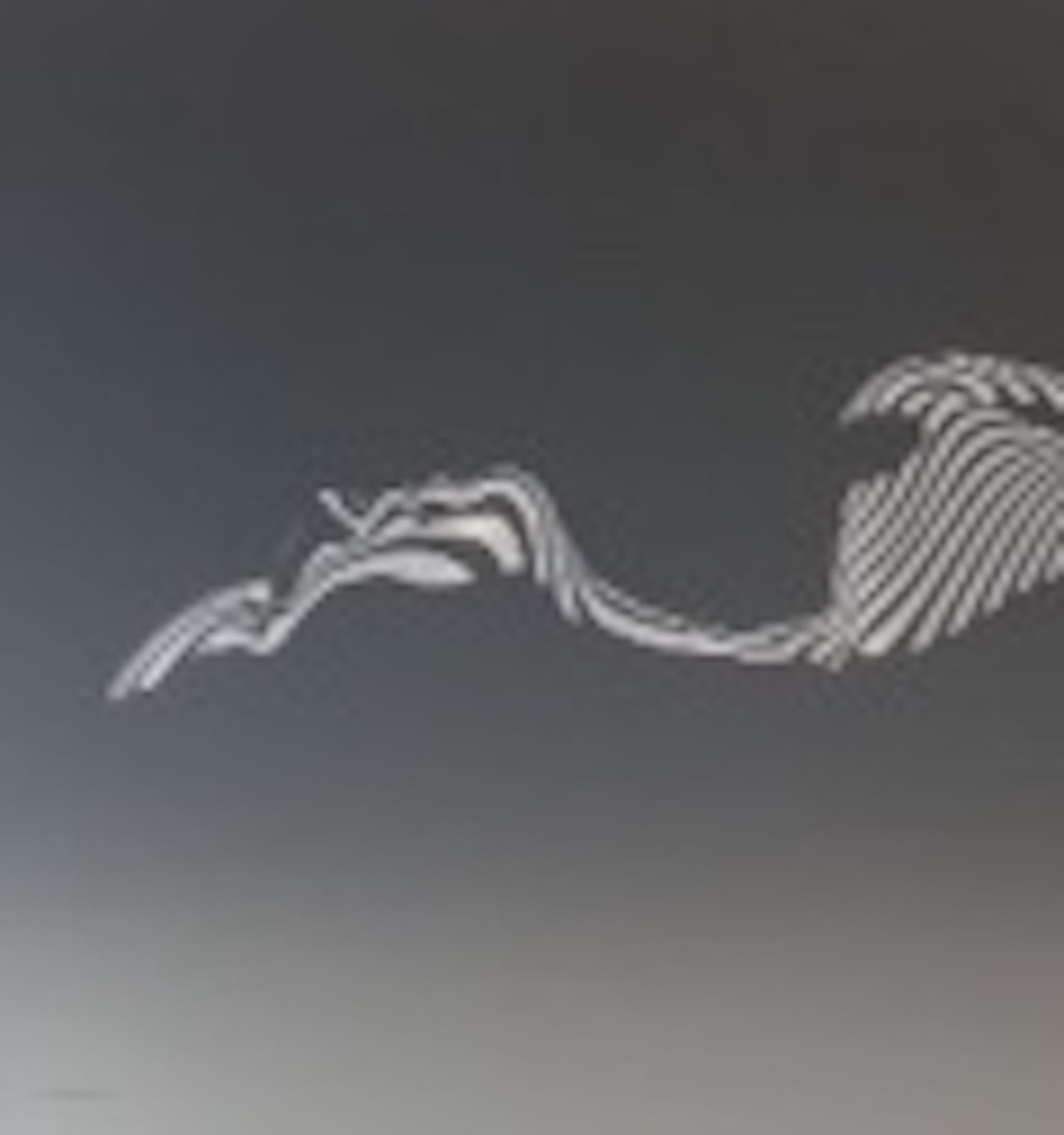 Édition métallique Dune XS, Art figuratif, Art nu, Art noir et blanc, Minimalist en vente 1