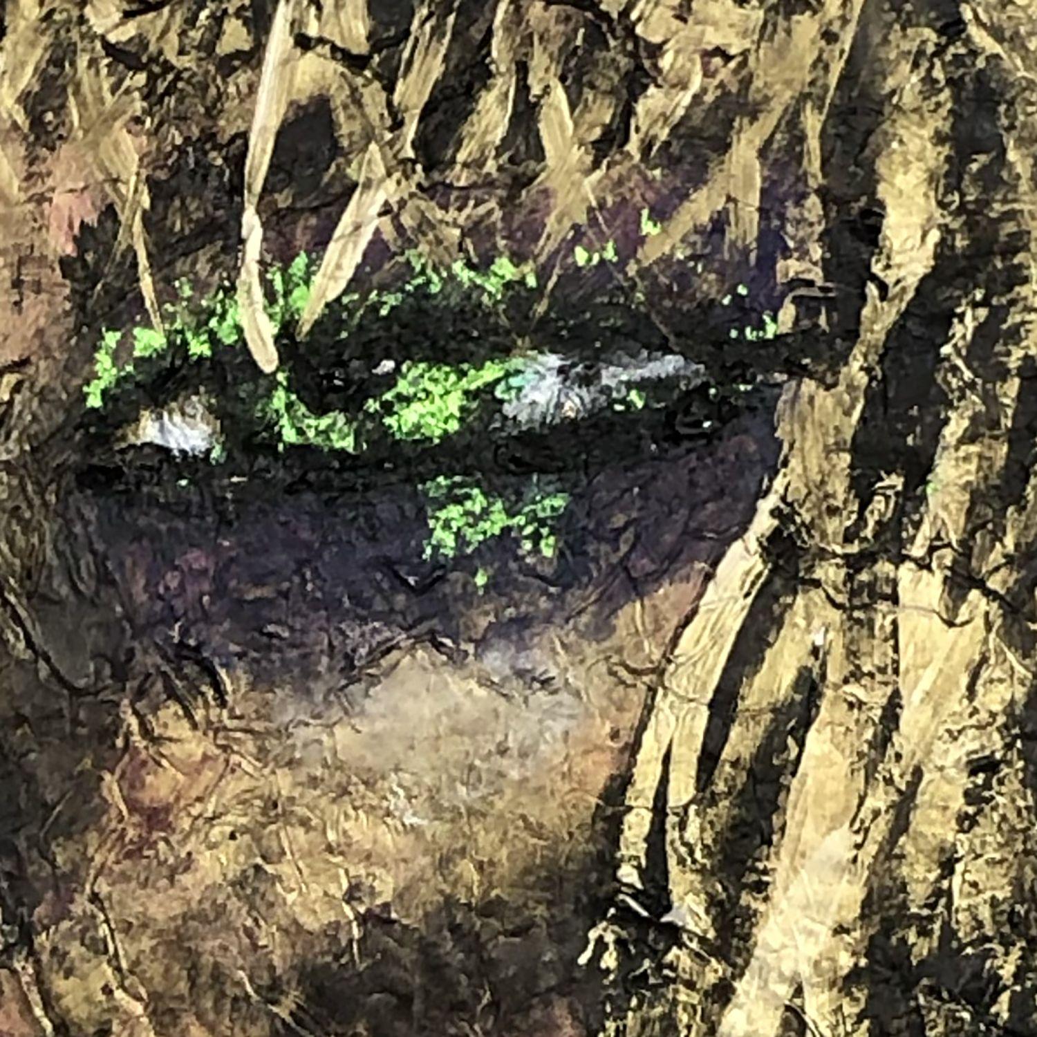 essen 43, Mixed Media on Paper - Abstract Expressionist Mixed Media Art by Jason Lincoln Jeffers