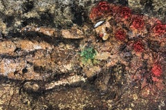 essen 59, Mixed Media on Canvas