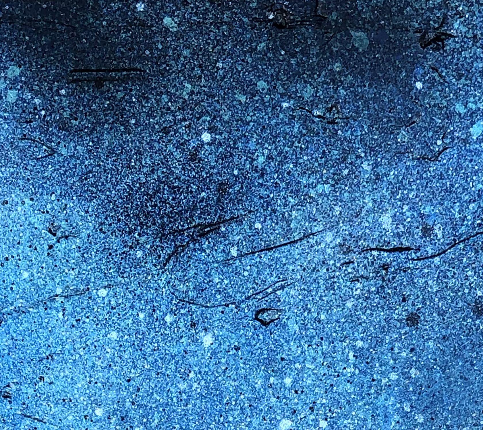 gaia 12., Mixed Media on Canvas - Abstract Expressionist Mixed Media Art by Jason Lincoln Jeffers