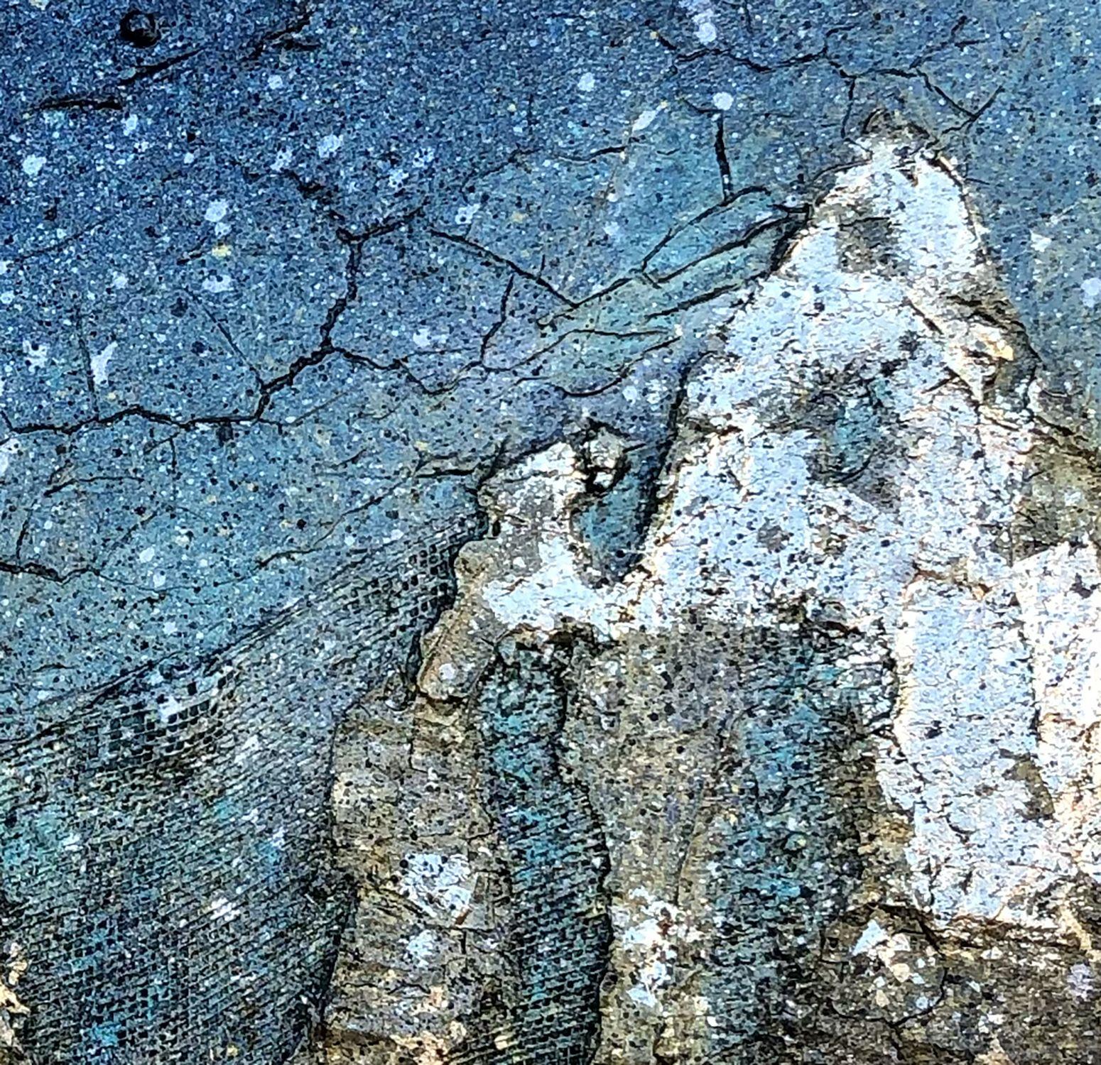 In this healing and metamorphic new series we explore the countless and brilliant facets of GAIA (to the ancient Greeks) or TERRA (in the Roman pantheon). GaIa was a Mother Earth Goddess worshipped in Greece before the Hellenes introduced the cult