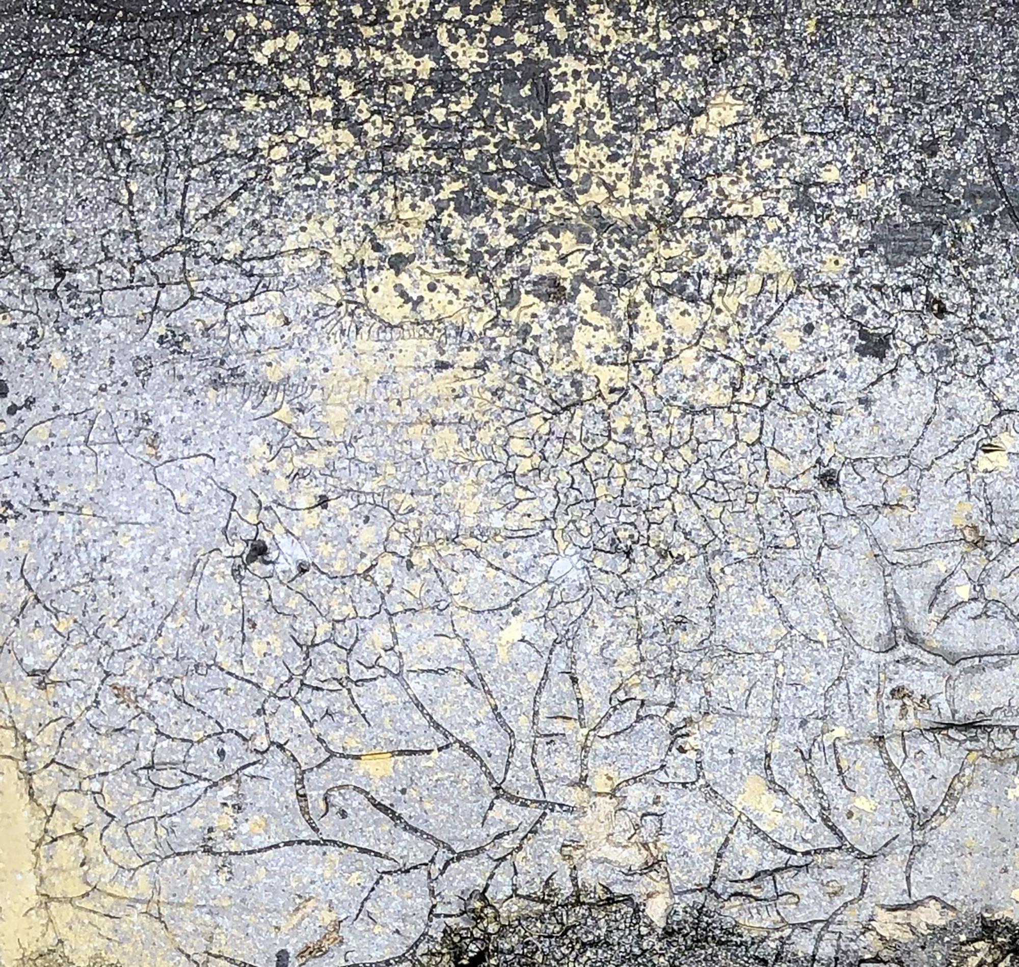 gaia 29, Mixed Media on Canvas - Abstract Expressionist Mixed Media Art by Jason Lincoln Jeffers