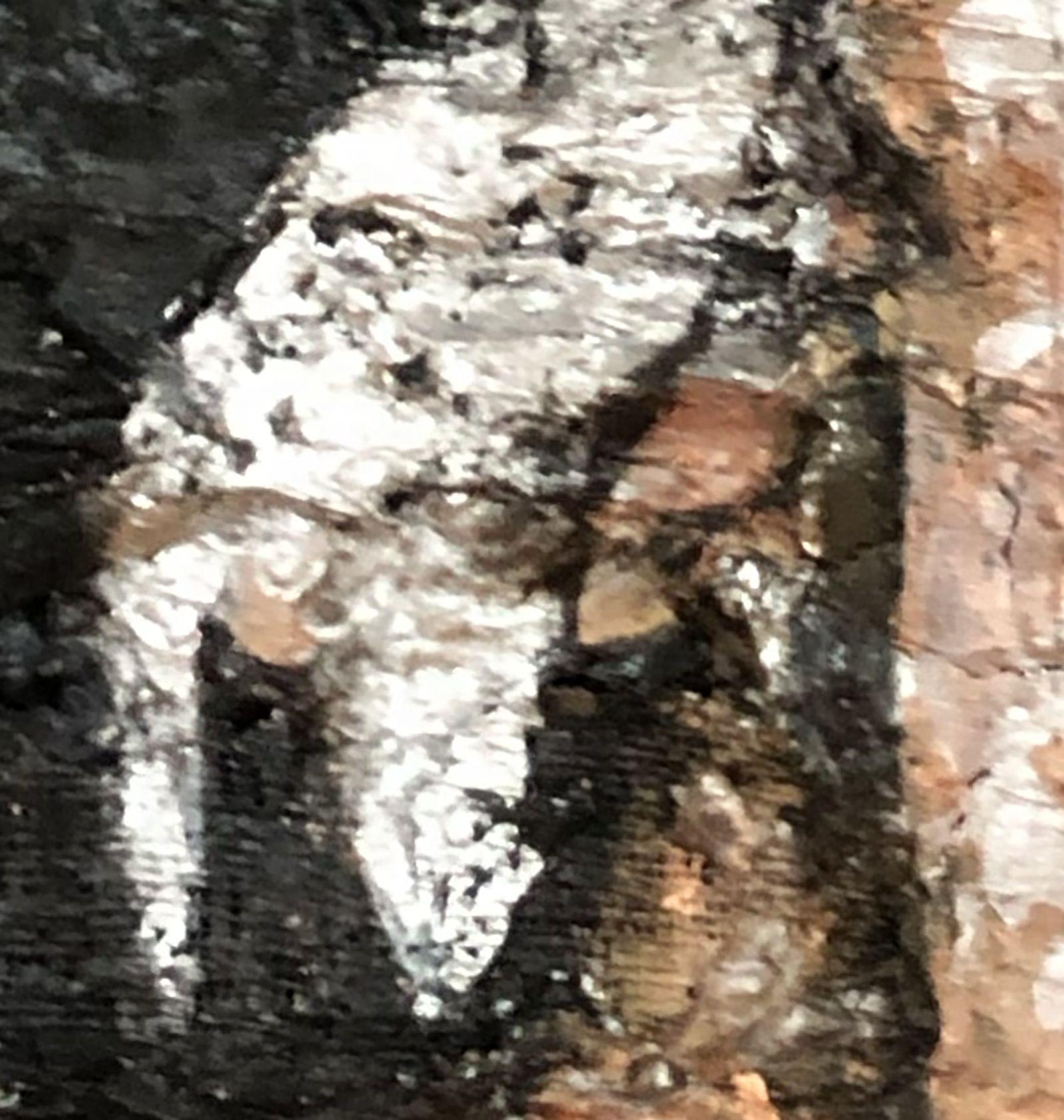 pallas athena 2, Mixed Media on Canvas For Sale 1