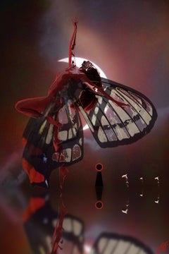 butterfly 47., Digital on Metal