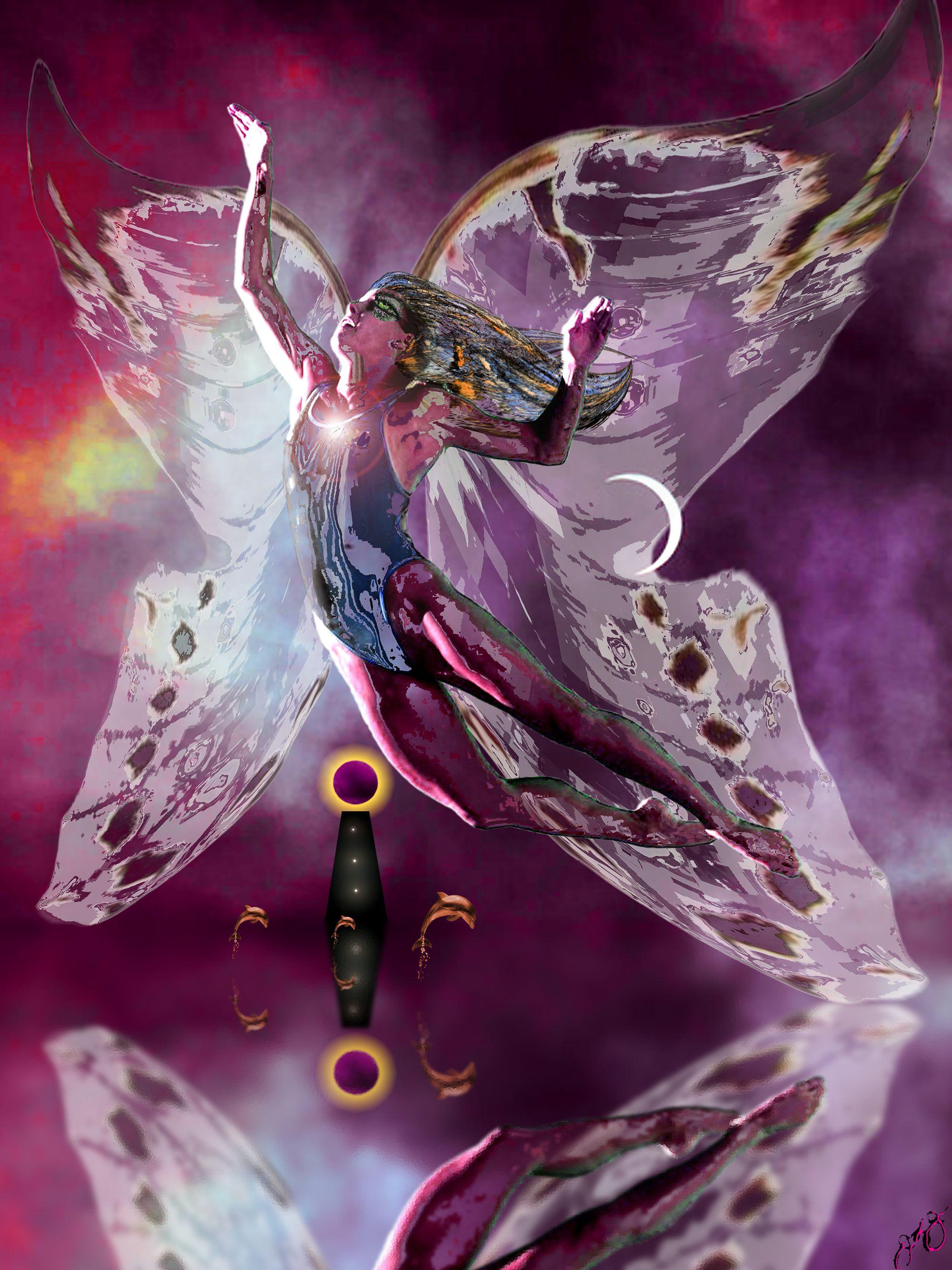 butterfly 53, Digital on Metal