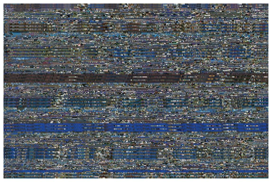 One Week Skin (CNN-Hs), Archivtintenstrahldruck von Jason Salavon, 2012