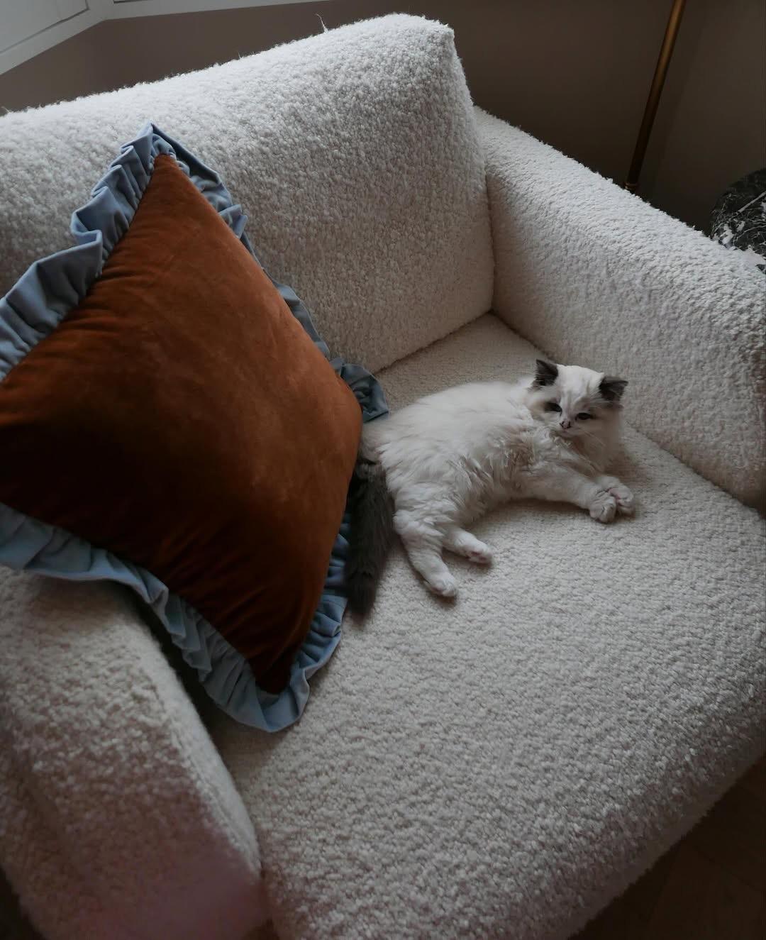 Transform your space with a talisman for the home of beauty, good energies and comfort.
Elevate your home’s ambiance with our handcrafted cushion, designed to bring beauty, positive energies, and comfort.
Each cushion is handmade in Portugal by