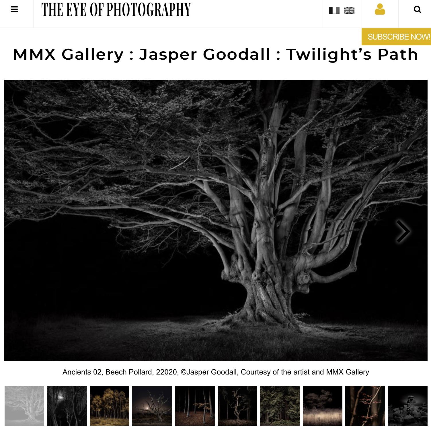 Ancient #02, Beech Pollard; Black and White Tree Landscape - Contemporary Photograph by Jasper Goodall