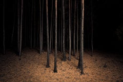 Burnt Place Twilight's Path Forest by Night Fine Art Print