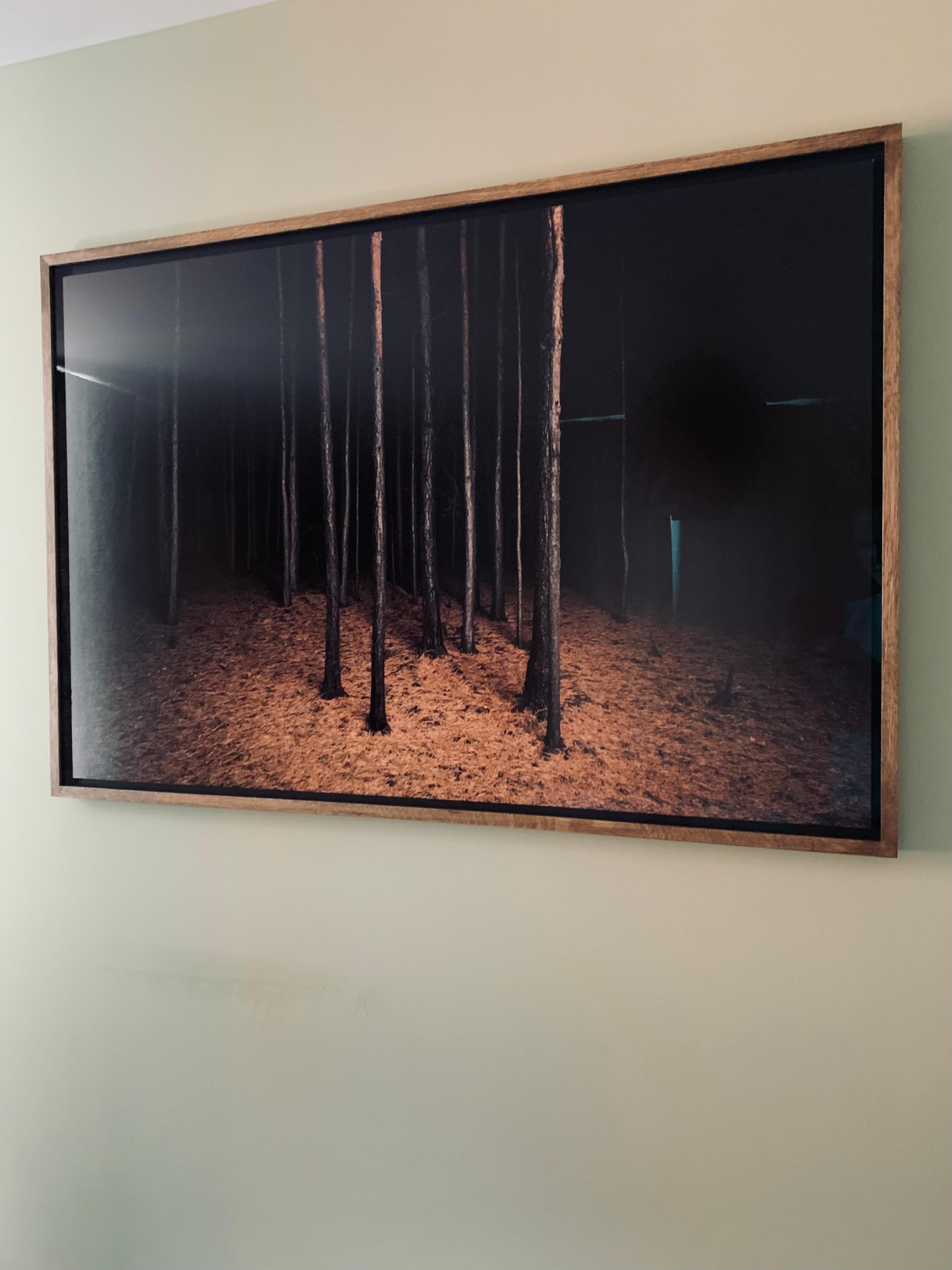 Impression d'œuvres d'art Burnt Place Twilight's Path Forest par Night - Contemporain Photograph par Jasper Goodall
