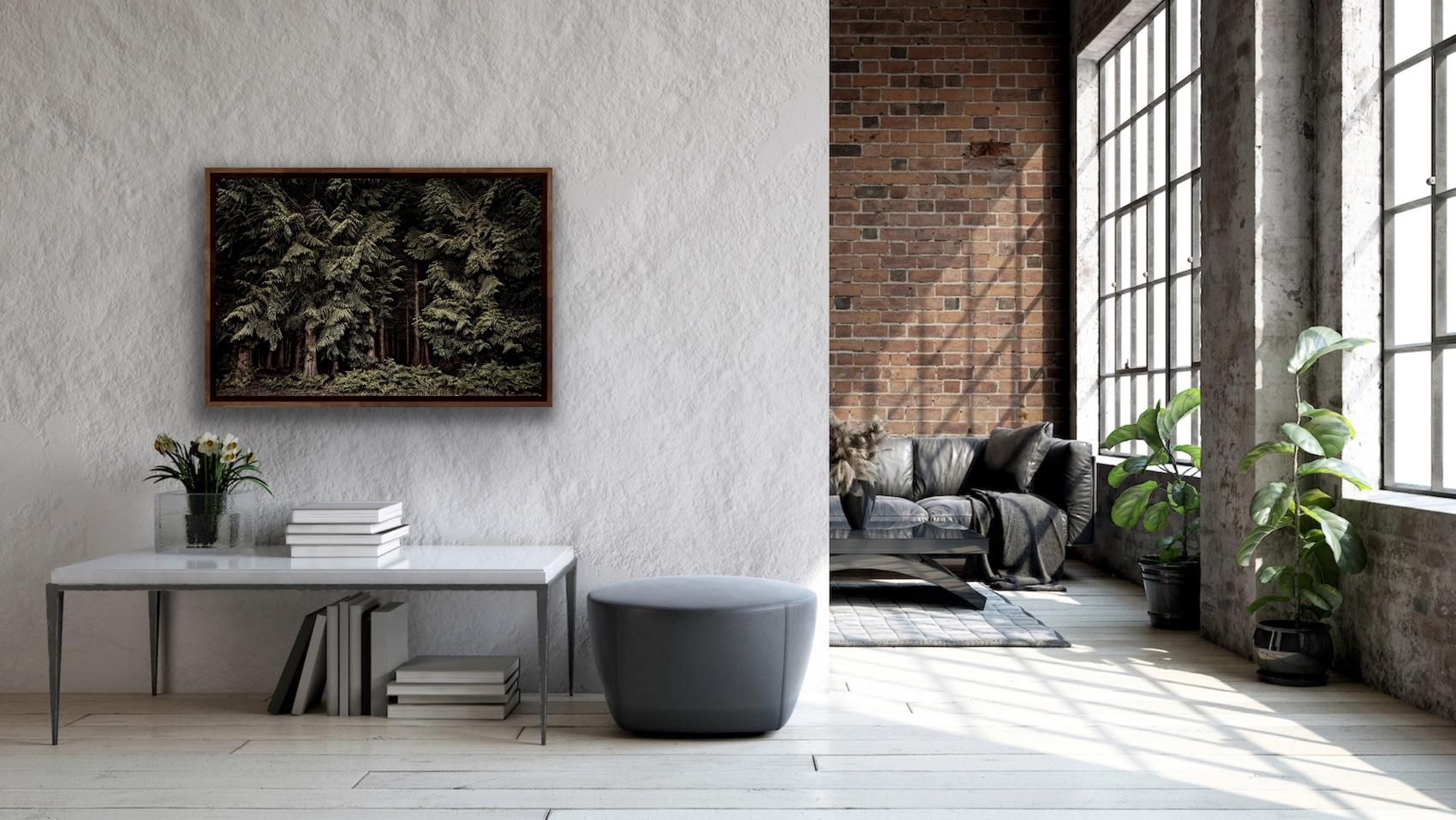 Large Photographic Print: Cedars, Twilight's Path, Forest at night, England For Sale 7