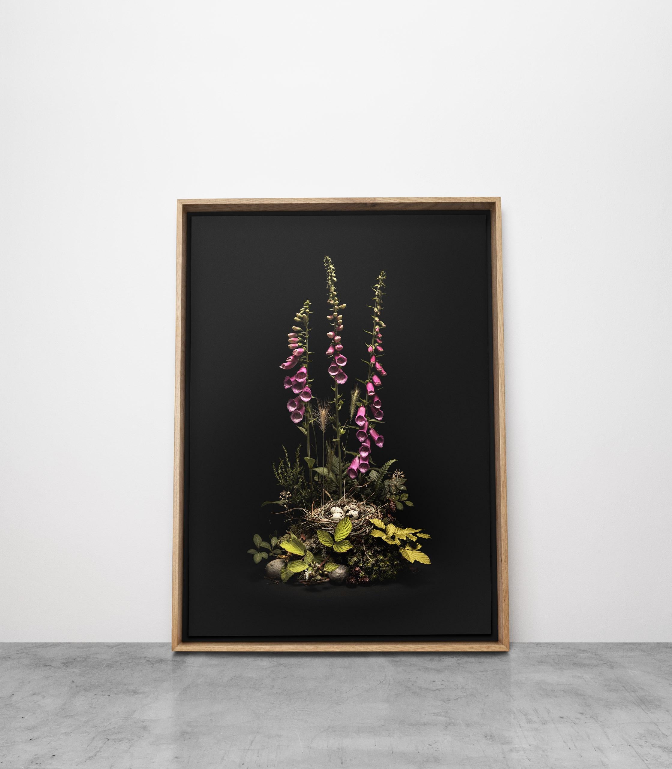 Dar Flora n°5, May Foxgloves, un arrangement floral de fleurs et de plantes sauvages - Noir Color Photograph par Jasper Goodall