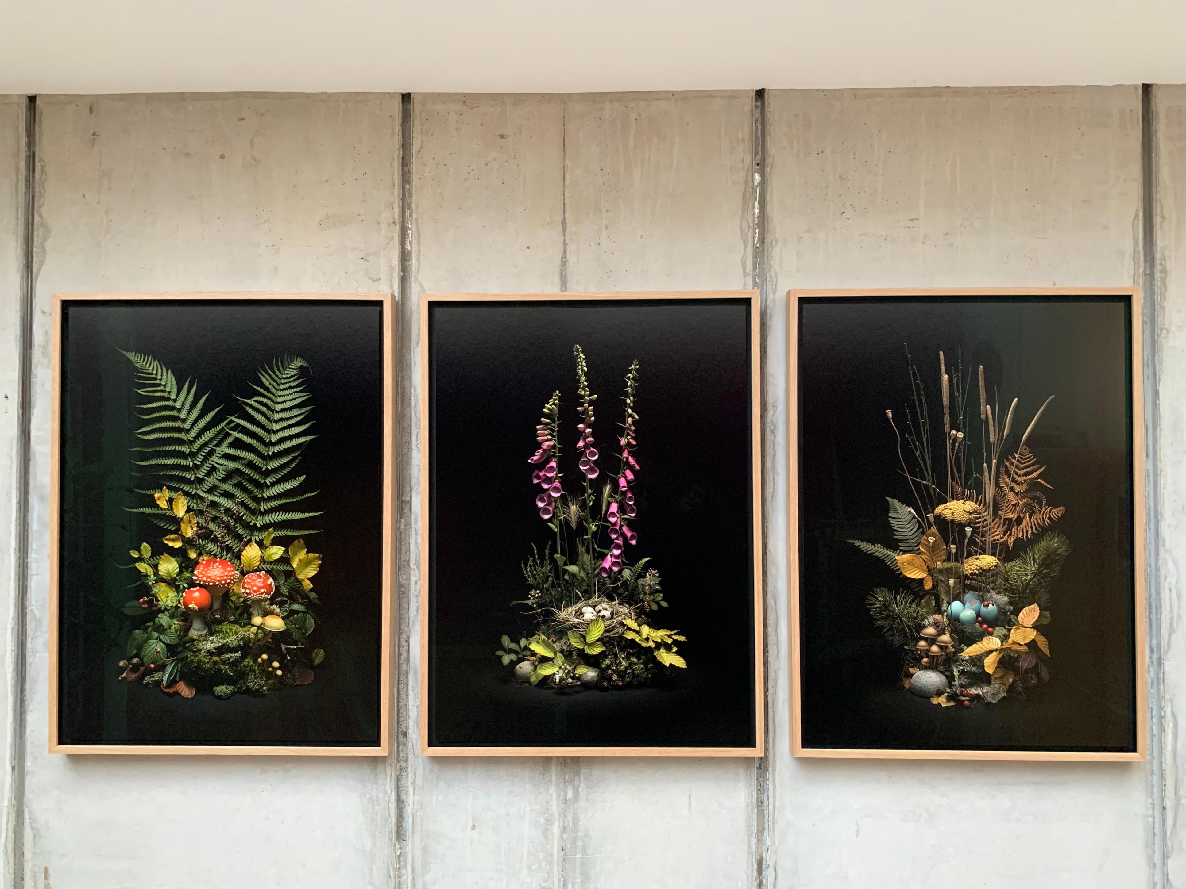 Inspired by Victorian era taxidermy dioramas, 'Dark Flora' is a series of photographs using wild plants and flowers in a curated yet naturalistic arrangement. The plants are foraged from forest clearings, hedgerows and roadside verges, often using