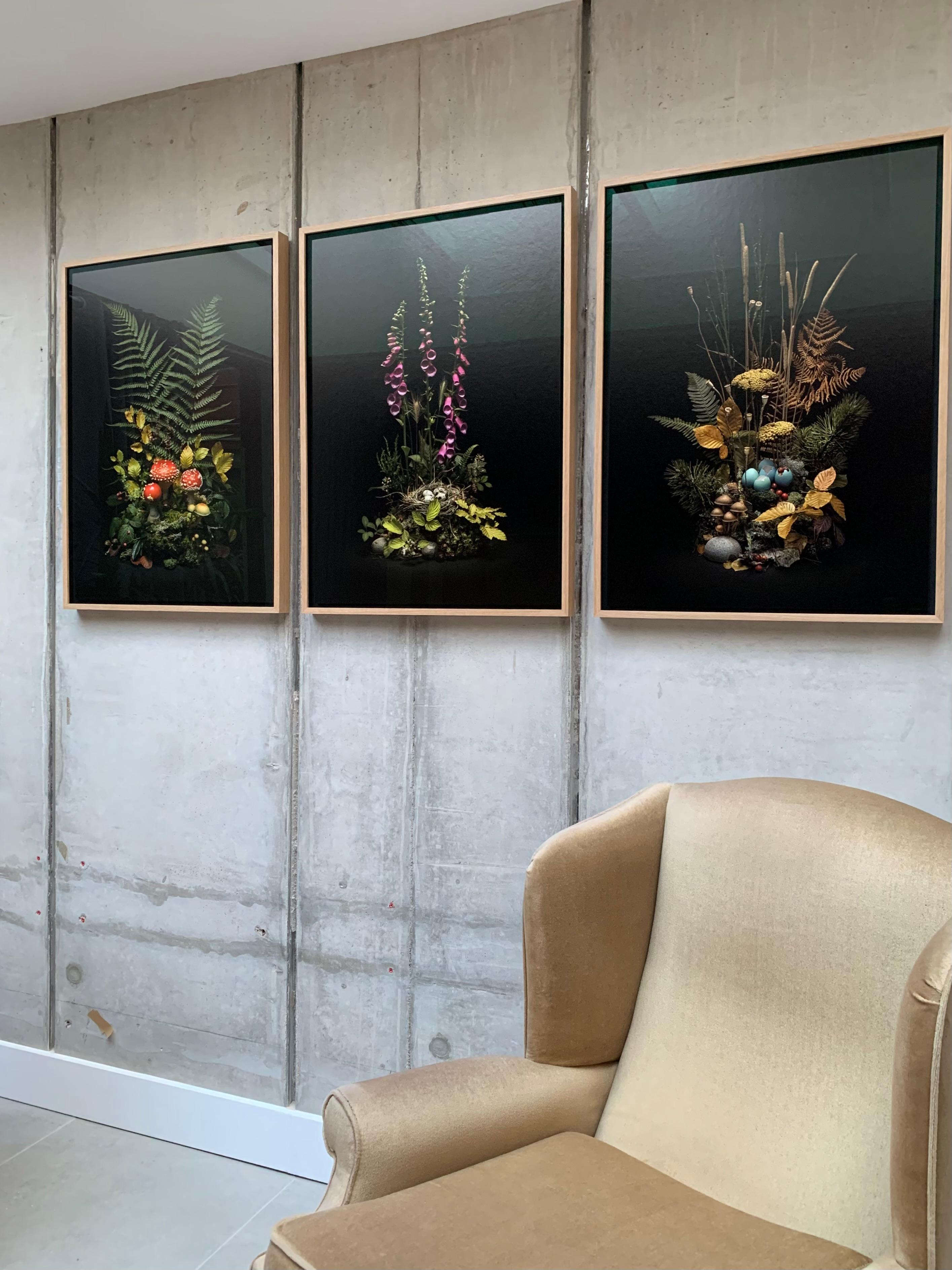 Dar Flora: Fly Argaric, May Foxgloves & Autumn Weald - 3 x Framed Prints Set For Sale 2